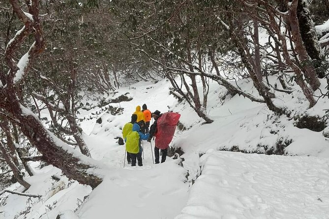 5 Day Mardi Himal Base Camp Trek in Pokhara - How hard is it, and who should go?