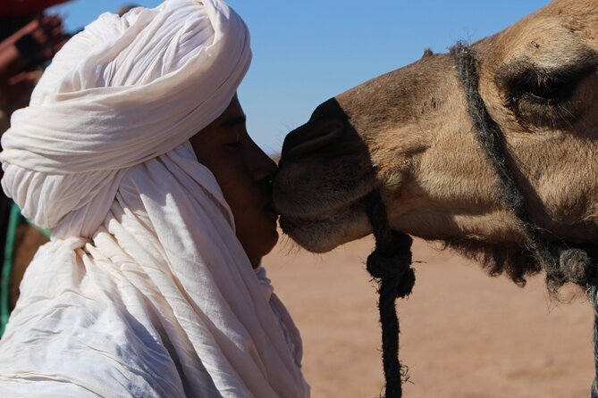 5-day trek - In the Draa Valley - Five days of desert walking in the Draa Valley