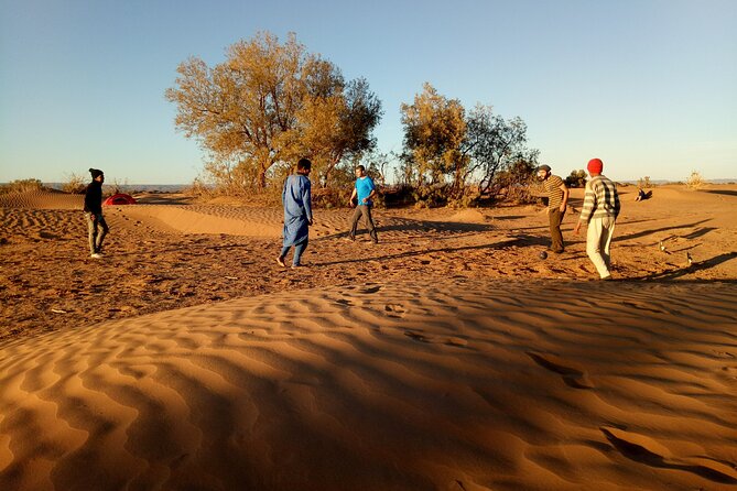 5-day trek - In the Draa Valley - Nomad guides, camp cooking, and nights under the stars