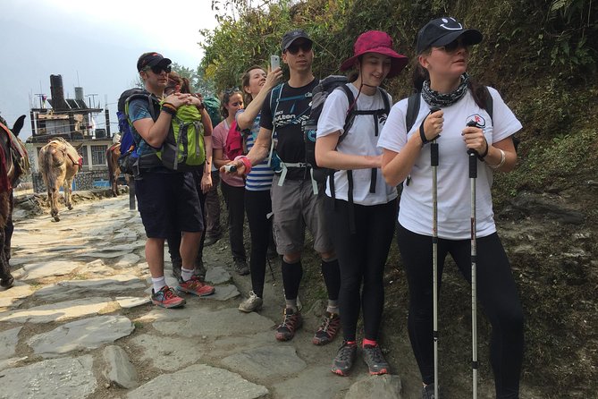5 Days Annapurna Mountain View Trekking from Pokhara, Nepal - Getting to Nayapul and Ulleri: Day 1 Setup