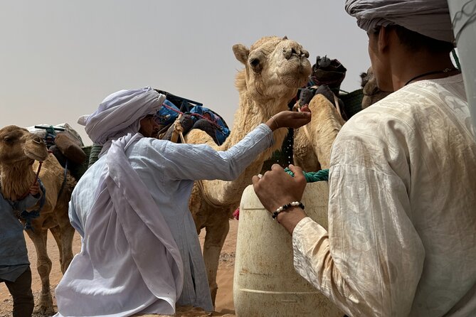5 Days Desert Trekking from Marrakech - Camp life: tents, meals, and what makes the nights worth it