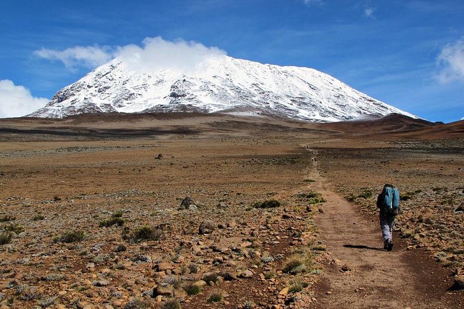 5 Days Marangu Route Kilimanjaro Trekking - Marangu Route Hut Trek: what makes it different on Kilimanjaro