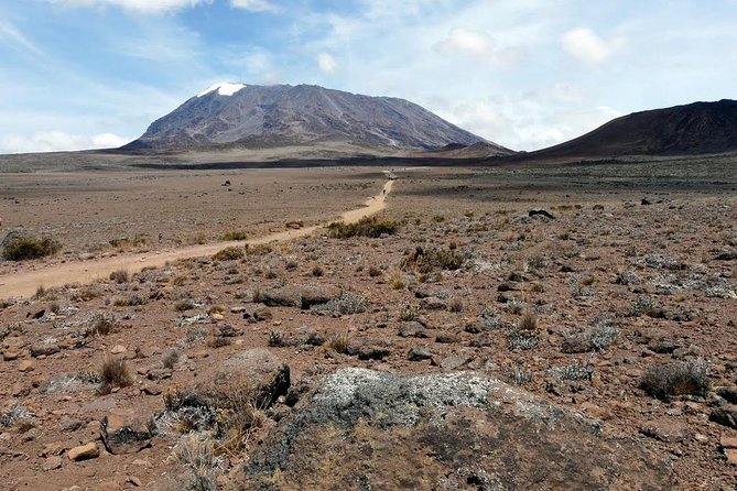 5 Days Marangu Route Kilimanjaro Trekking - Day-by-day Marangu Route: rainforest to moorland to crater rim