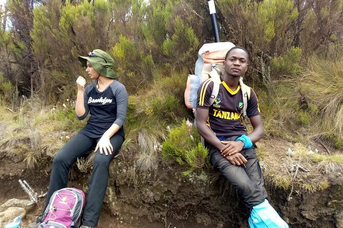 5 Days Marangu Route - Mount Kilimanjaro Trek - Mandara to Horombo Hut: Timberline, Heath, Moor Zones, and Big-Time Views