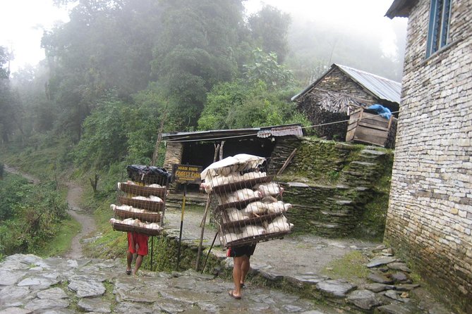 5 Days Mardi Himal Base Camp Trek - High Camp views: Fishtail plus Annapurna and Himchuli