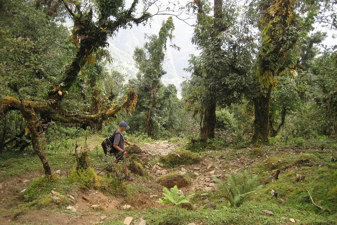 5 Days Mardi Himal Base Camp Trek - Base Camp at 4,500m: the 360-degree day