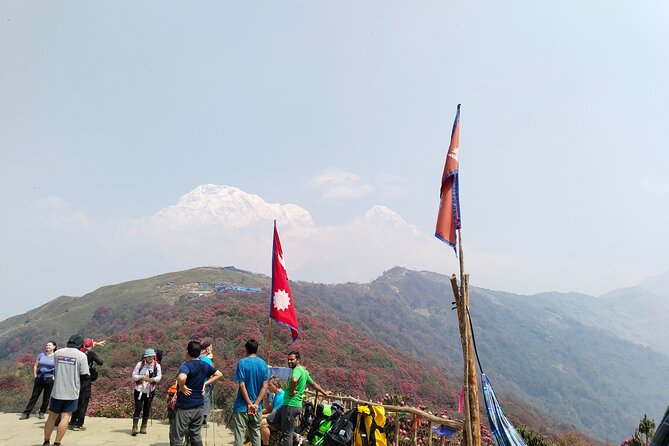 5 Days Mardi Himal Trek. - Mardi Himal Trek: a 4500-meter taste of Nepal without the crowds