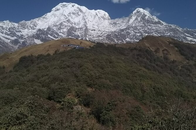 5 Days Mardi Himal Trek. - Day 2: Forest Camp day with river views and bird-filled walking