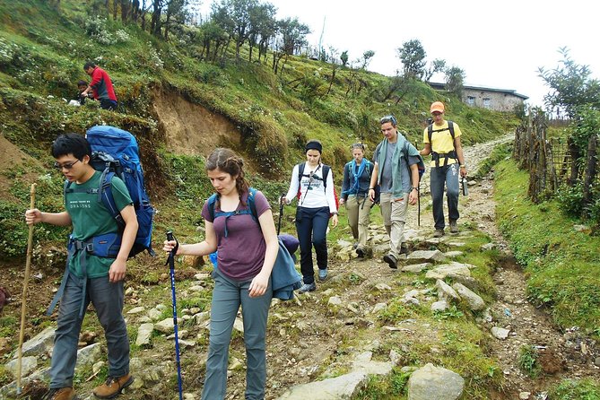 5-Days Singalila Ridge Trek in Darjeeling - Day 3 Phalut: The Long Pull That Rewards Patience