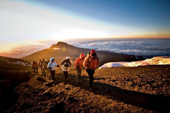 6-Day Kilimanjaro Machame Route – A Stunning Trek to Uhuru Peak - Day 1: Machame Camp and the rainforest “warm start”