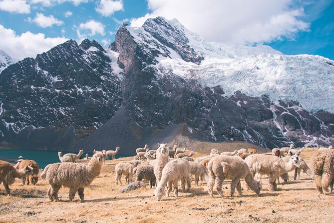 6 day Rainbow Mountain x Ausangate Trek - FlashpackerConnect - Day 5: from Puca Cocha pass to Warmi Saya, and the Rainbow Mountain sighting build-up