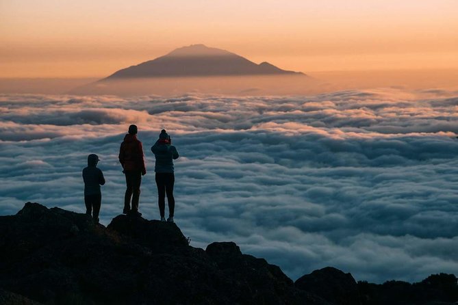 6-Day Rongai Route Trek in Mount Kilimanjaro - Day 4: Crossing the saddle between Mawenzi and Kibo to Kibo Hut