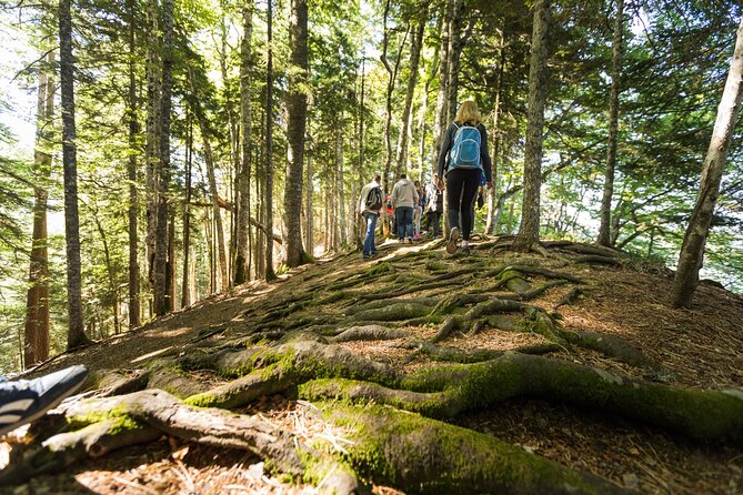 6 Day Tour - Trekking, Rafting, Jeep safari and Canyoning - Perućica rainforest and mountain pasture jeeps to Prijevor