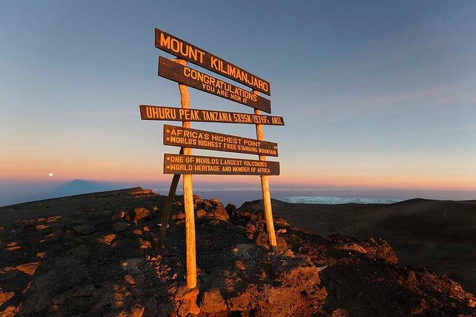6 Days Kilimanjaro Trekking - Machame Route - Machame Kusini to Shira campsite: rainforest fades and your body wakes up