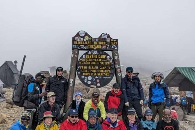 6 Days Machame Route Kilimanjaro Climbing Trekking Tour - Day 3: Lava Tower (15,223 ft) to Barranco Camp (12,959 ft)