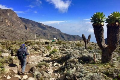 6 Days Machame Route Kilimanjaro Trekking - Getting to Kilimanjaro National Park: the start that shapes your first day