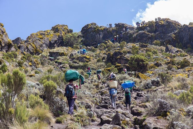 6 Days Mount Kilimanjaro Trek Marangu Route - Day 4: Horombo to Kibo Hut and the long, tough stage toward the crater zone