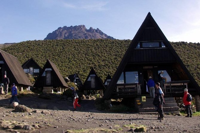 6 Days Mount Kilimanjaro Trek Marangu Route - Day 5: the summit stage to Uhuru Peak—midnight starts and Gilman’s Point at sunrise