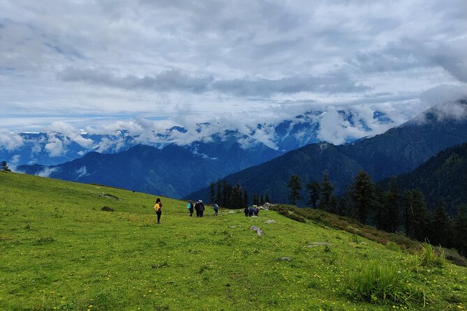 6 Days Phulara Ridge Trek - Wildlife and Trail Moments You Can Actually Notice