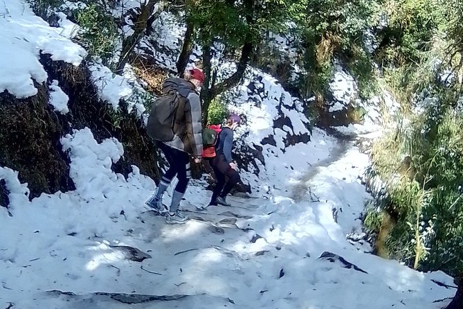 6 Days Poon Hill - Ghandruk Circuit Trek from Kathmandu - Key things to know before you go
