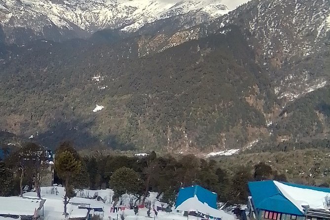 6 Days Poon Hill - Ghandruk Circuit Trek from Kathmandu - Day 2: Ulleri start—your first taste of the Annapurna uphill