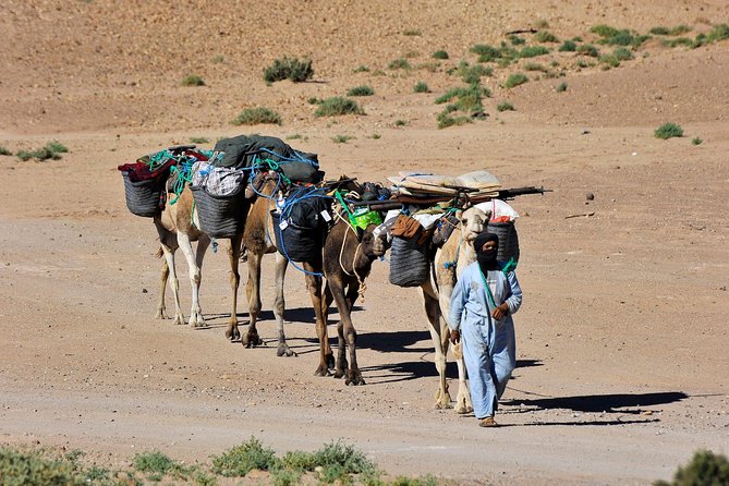 6 days trekking To The heart of Desert - Marrakech to the desert: High Atlas passes, Ait Benhaddou, and Zagora dates