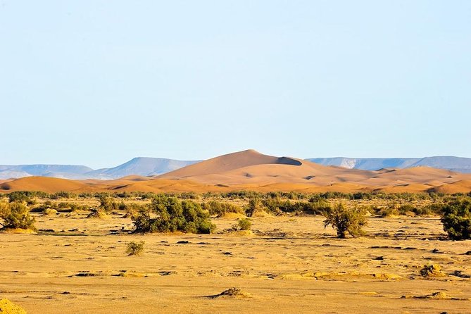 6 days trekking To The heart of Desert - Day 5: 3-hour walk back to M’Hamid, with shower time