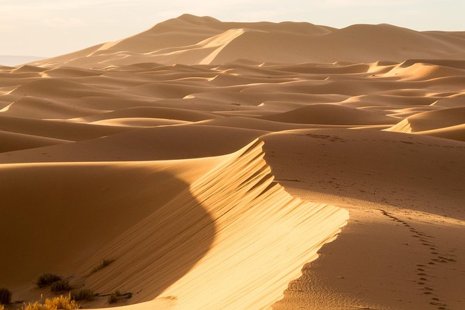 6 days trekking To The heart of Desert - How much walking are you really signing up for?