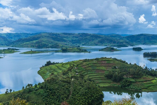 6 Days Uganda Gorilla, Chimps Trekking and Wildlife Safari - Entebbe to your hotel: Day 1 starts calm