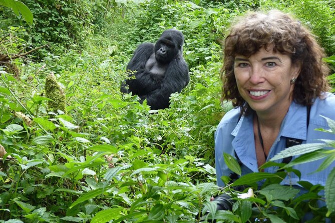 6 Days Uganda Gorilla, Chimps Trekking and Wildlife Safari - Bwindi gorilla trekking plus Batwa culture: Day 3’s real payoff