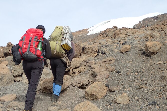 7-Day Kilimanjaro Trekking Tour via Machame Route - Day 4 to Barranco Camp: acclimatization that feels intentional