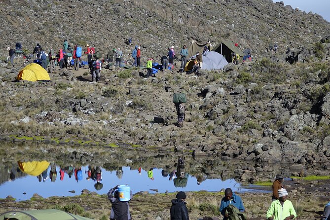 7-Day Kilimanjaro Trekking Tour via Machame Route - Day 7: Mweka Gate walk, rainforest downshift, and that final certificate moment