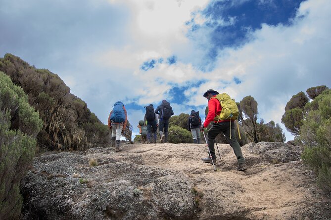 7 Day Trek To The Roof Of Africa Kilimanjaro via Machame Route - Day 3: Machame Camp to Shira Camp across heather and moorlands