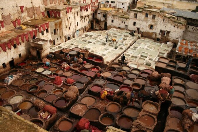 7-days: Casablanca to Chefchaouen then Fes and Sahara Desert - Camel Trekking - Casablanca Pickup and the Hassan II Mosque Timing That Actually Matters