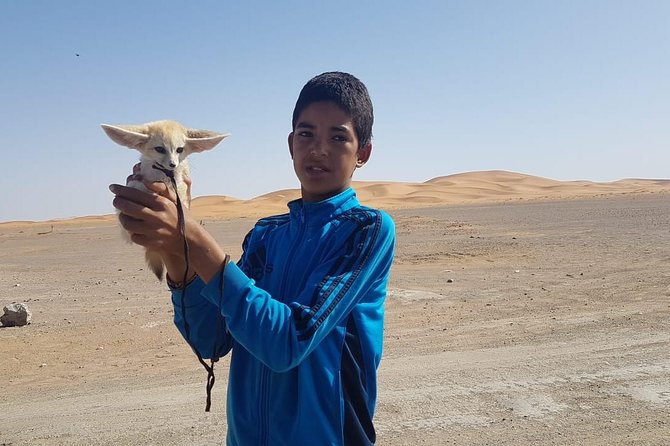 7-days: Casablanca to Chefchaouen then Fes and Sahara Desert - Camel Trekking - Todra Gorge After the Dunes: The Grand Canyon Moment