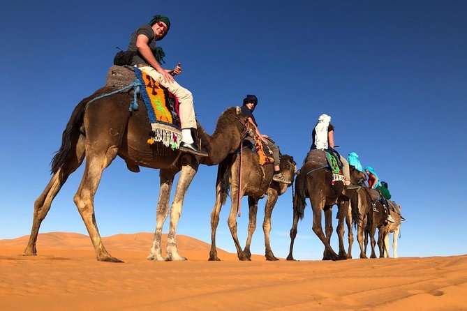 7-days: Casablanca to Chefchaouen then Fes and Sahara Desert - Camel Trekking - Ifrane, Azrou Monkeys, and the Road to the Sahara