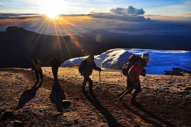 7 Days Kilimanjaro trek via Machame route - Key takeaways before you go