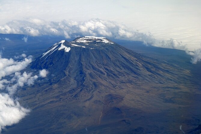 7 Days Kilimanjaro trek via Machame route - Arusha to Machame Gate: Registration Meets Cloud Forest