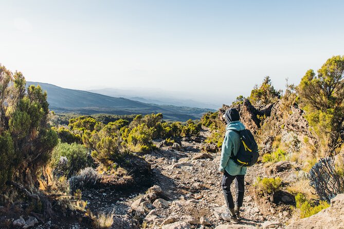 7 Days Kilimanjaro trek via Machame route - Mweka Forest Exit: Finish to Mweka Gate