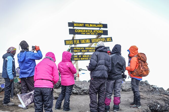 7 Days Kilimanjaro trek via Machame route - Shira Plateau: High-Altitude Plants and Big View Windows