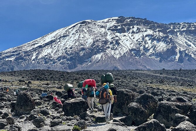 7 Days Kilimanjaro Trekking Machame Route - Key things to know before you pick the Machame route