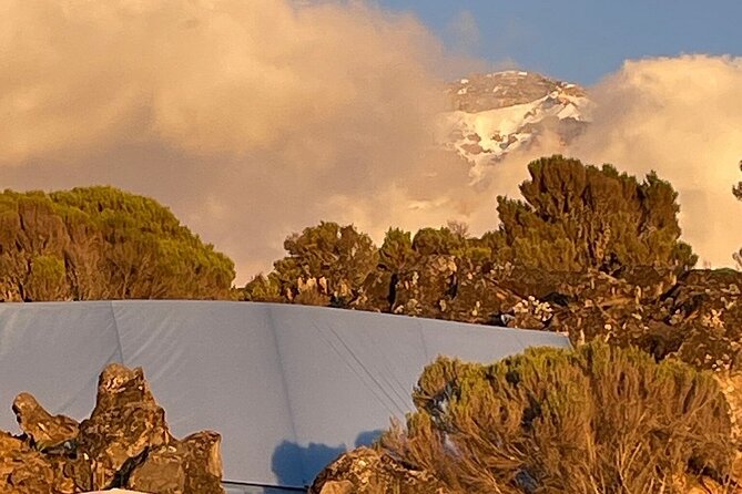 7 Days Kilimanjaro Trekking Machame Route - Machame from Moshi: what kind of Kilimanjaro trip is this?