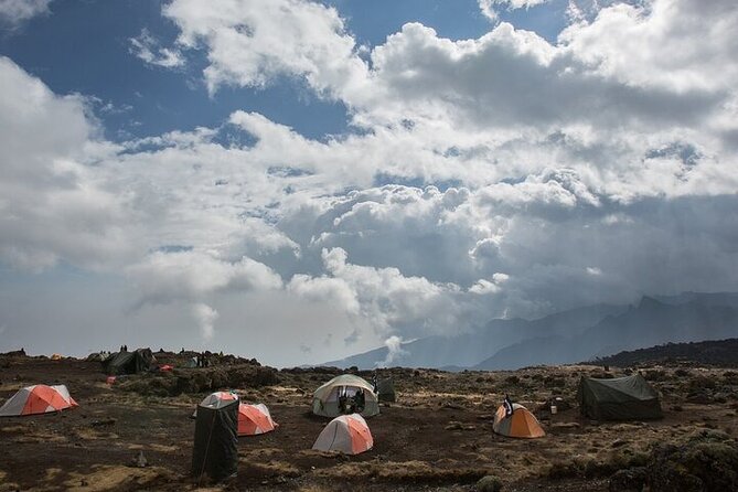 7 Days Kilimanjaro Trekking Machame Route - Day-by-day: what you’ll do (and what to watch for)