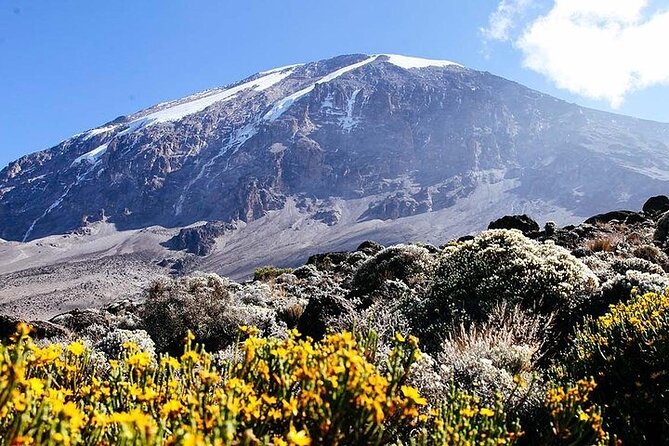7 Days Kilimanjaro Trekking Machame Route - Packing and gear choices that match this exact itinerary