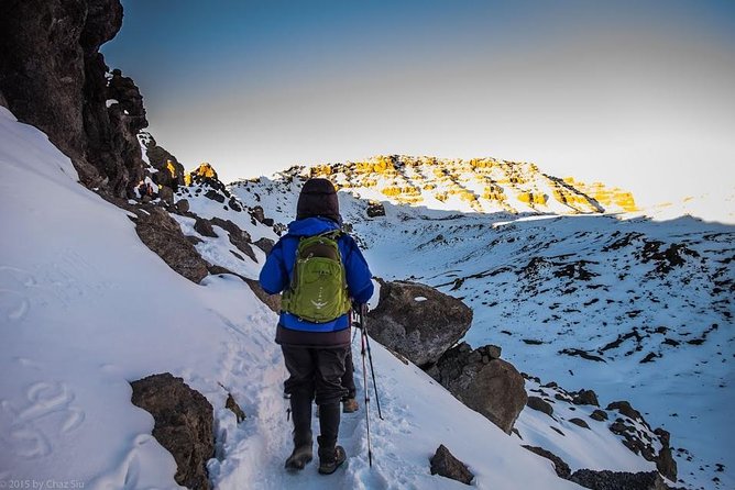7 Days Kilimanjaro Trekking Machame Route with Professional Guide - Key highlights you’ll notice fast