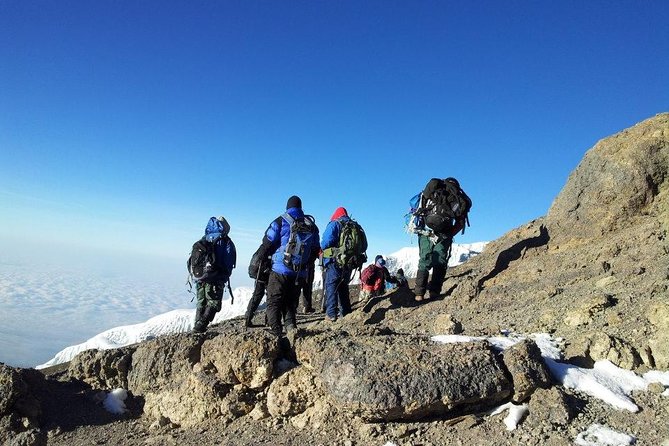 7 Days Kilimanjaro Trekking Machame Route with Professional Guide - Days 2–3: Machame Rainforest to Shira Plateau (12,600 ft views)