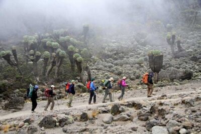 7 Days Kilimanjaro Trekking Machame Route with Professional Guide - Arusha Arrival Day: Private Transfer, Briefing, and Equipment Check