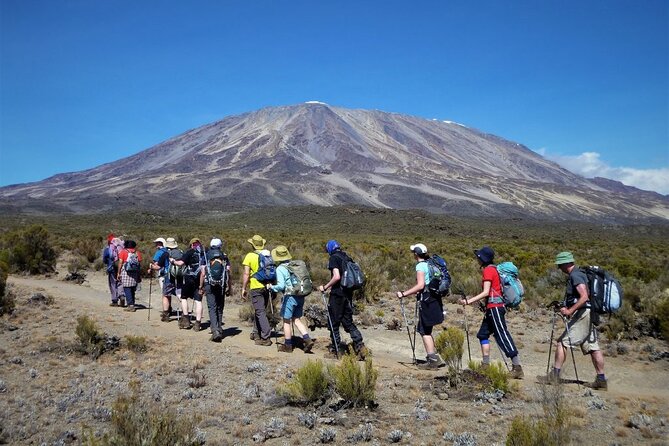 7 Days Kilimanjaro Trekking Machame Route with Professional Guide - Day 7: 1 a.m. Torchlight Ascent to Stella Point, Then Uhuru Peak If You’re Ready