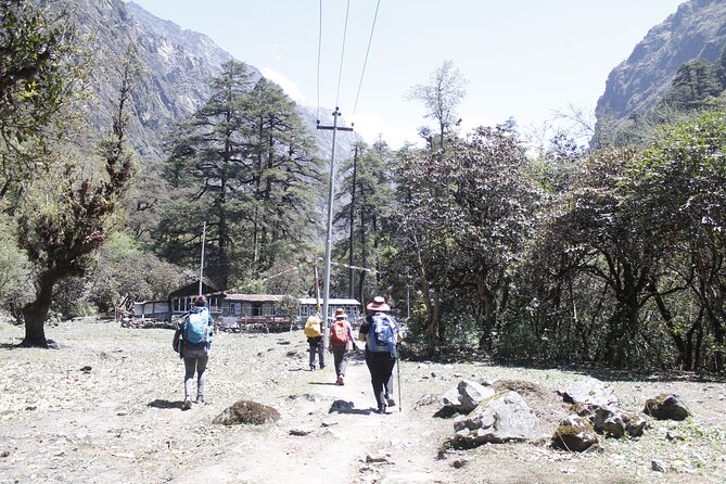 7 Days Langtang Valley Trek from Kathmandu - Day 4 Kyanjin Gompa: yak pastures, mani divider, and higher altitude