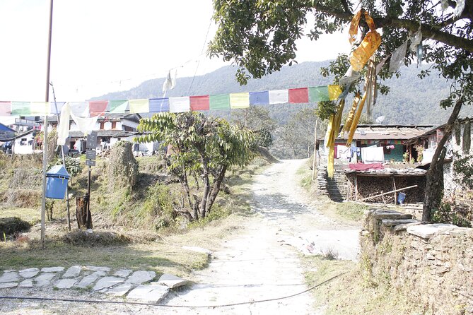 7 Days Langtang Valley Trek from Kathmandu - What you’re really paying for: permits, guide quality, and logistics